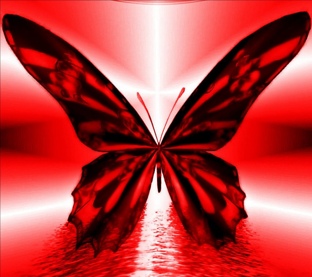 Red butterfly gothic blood flag free wallpaper - medium preview image