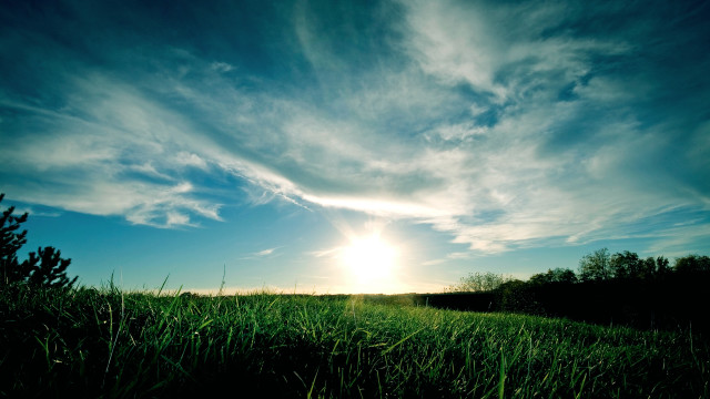 Sunset field trees blue sky free wallpaper - medium preview image