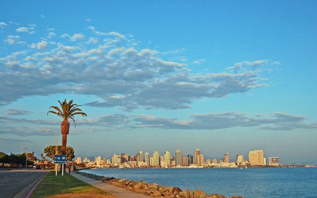 Palm tree road ocean city free wallpaper - medium preview image