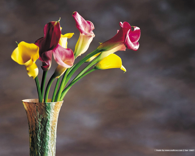 Vase flowers table brown background free wallpaper - medium preview image