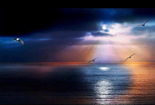 Birds flying over ocean sunbeams free wallpaper - medium preview image