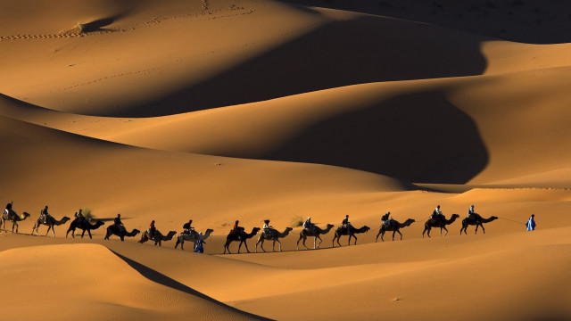 Camel ride desert group people #2 free wallpaper - medium preview image