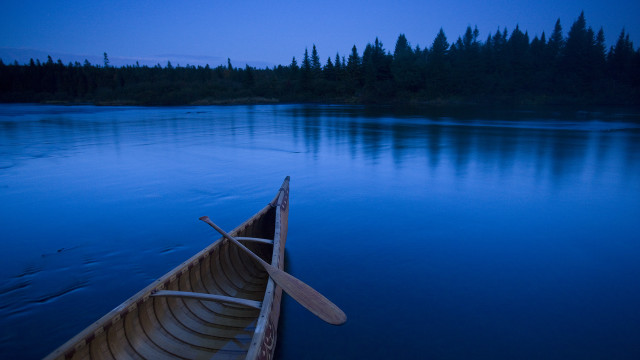 Canoe water paddle forest background free wallpaper - medium preview image