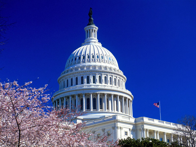 Large white building flag trees free wallpaper - medium preview image