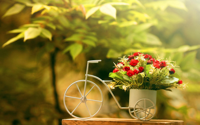 Flower pot bike decoration garden free wallpaper - medium preview image