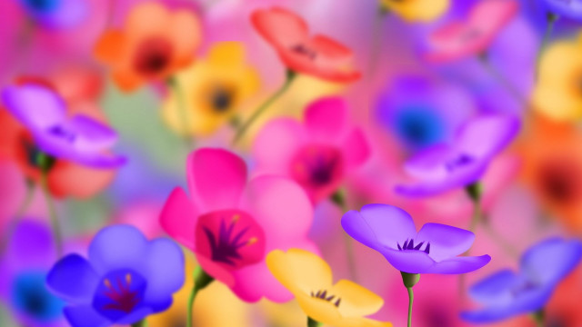 Colorful flowers field blurry background #2 free wallpaper - medium preview image
