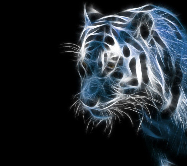 White tiger blue eyes black #2 free wallpaper - medium preview image