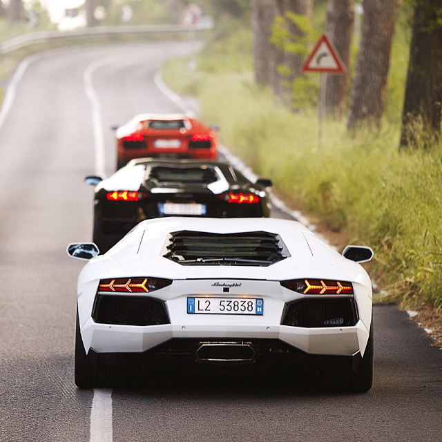 Sports cars road forest symmetry free wallpaper - medium preview image