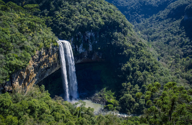 Waterfall forest bridge river nature #2 free wallpaper - medium preview image