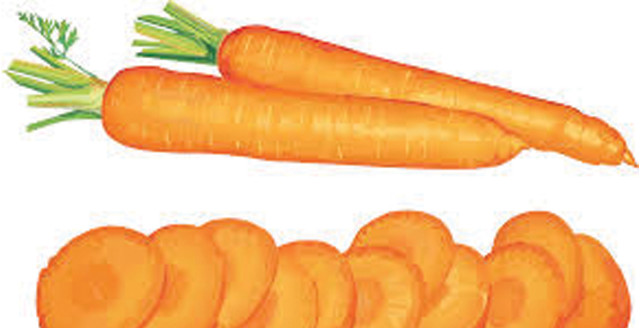 Carrots slices green leaves orange free wallpaper - medium preview image
