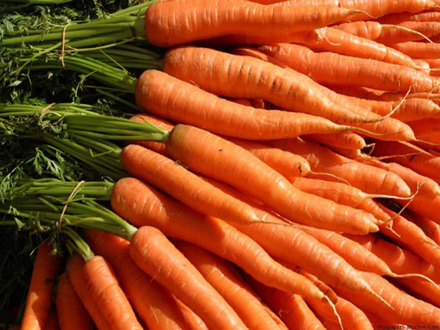 Carrots pile table green stems free wallpaper - medium preview image