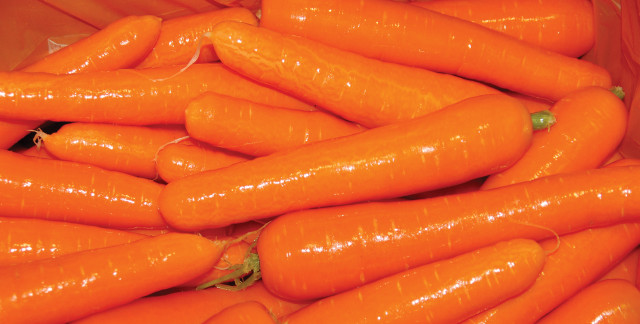 Pile carrots plastic container green free wallpaper - medium preview image