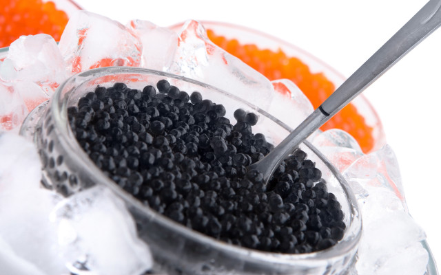 Bowl black beans spoon ice free wallpaper - medium preview image