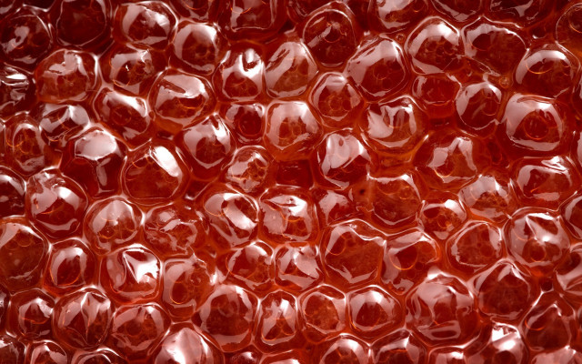 Red plastic holed object black free wallpaper - medium preview image
