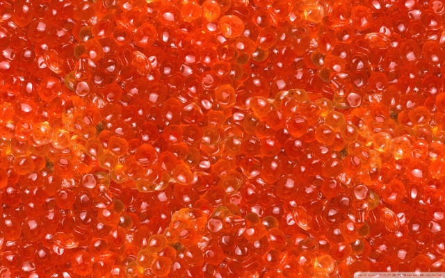 Red substance close up bubbles free wallpaper - medium preview image