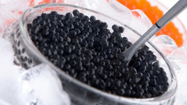 Bowl black beans oranges ice free wallpaper - medium preview image
