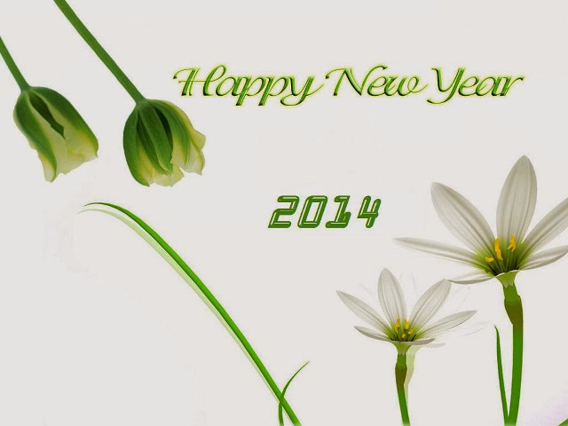 Happy new year flowers grass free wallpaper - medium preview image
