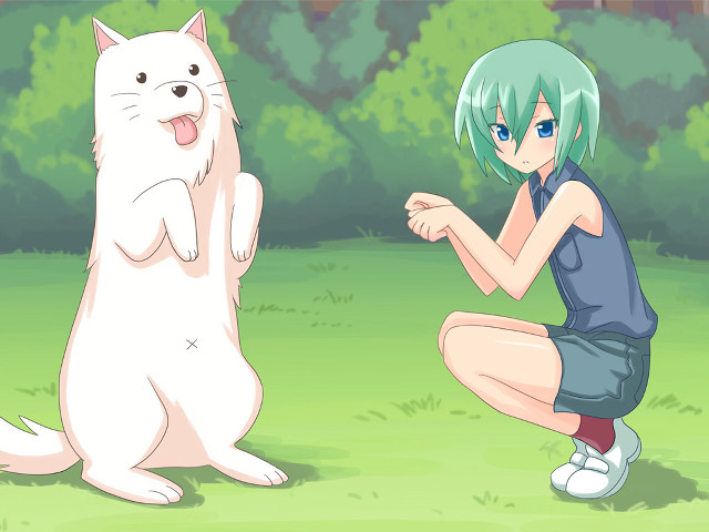 Girl kneeling cat grass trees free wallpaper - medium preview image