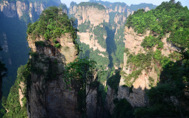 Mountain tall cliff trees sides free wallpaper - medium preview image