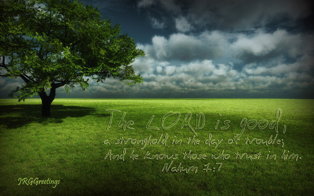 Tree bible verse cloudy sky free wallpaper - medium preview image