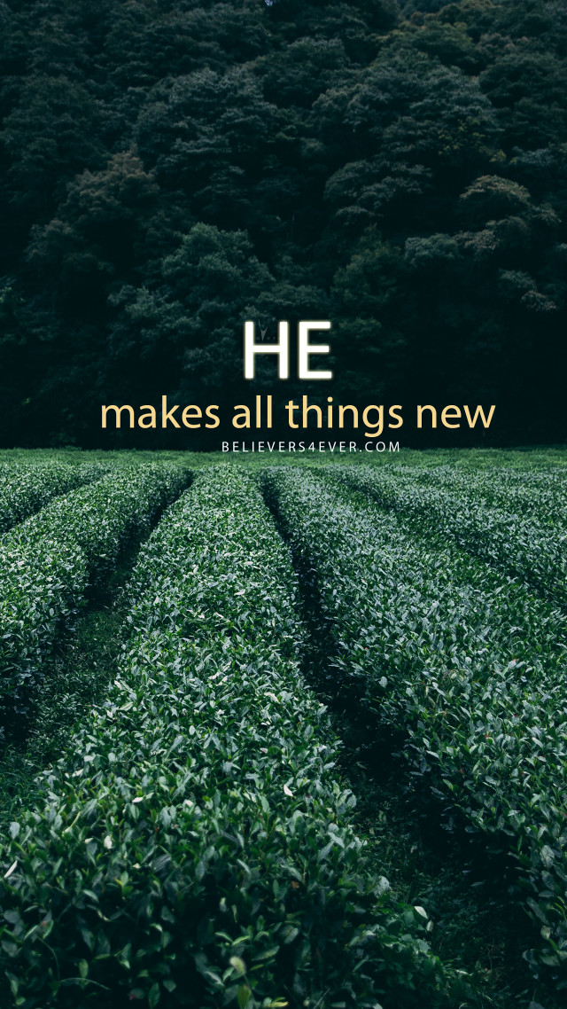 Field grass quote he makes free wallpaper - medium preview image