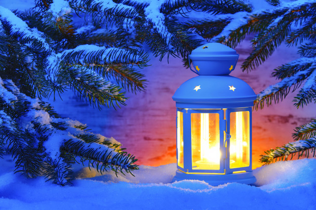 Blue lantern snow pine tree free wallpaper - medium preview image