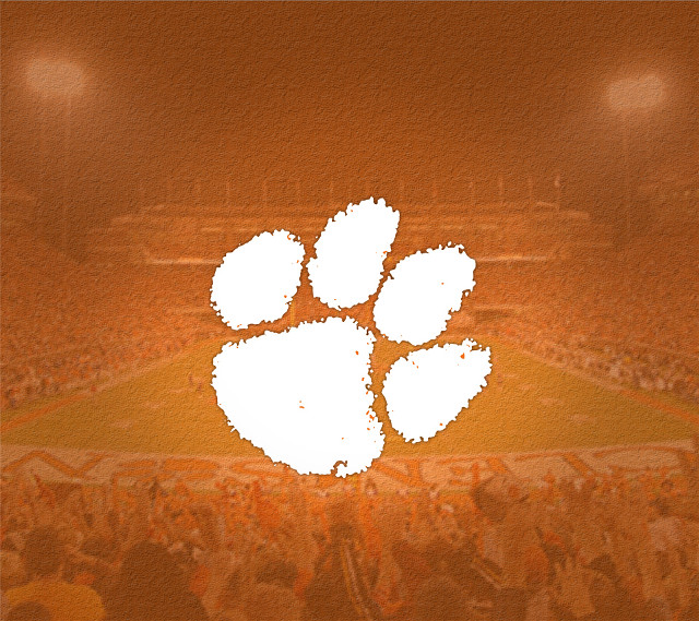 Stadium crowd white bear paw free wallpaper - medium preview image