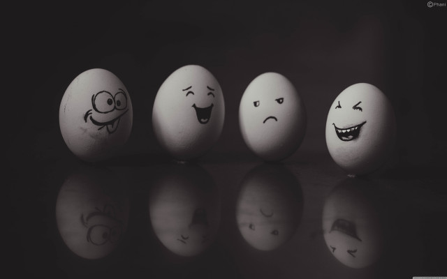 Eggs with faces row table free wallpaper - medium preview image