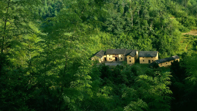 House forest trees hill background free wallpaper - medium preview image