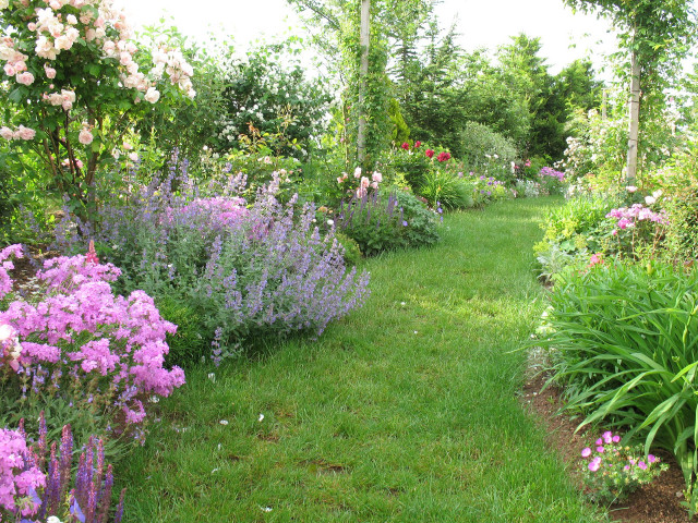 Garden path flowers trees background free wallpaper - medium preview image