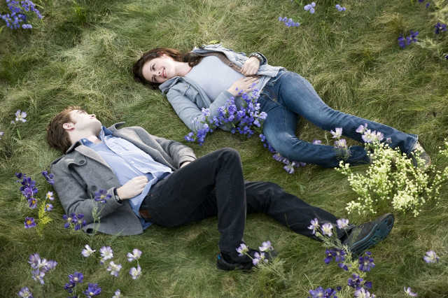 Couple lying field flowers grass free wallpaper - medium preview image