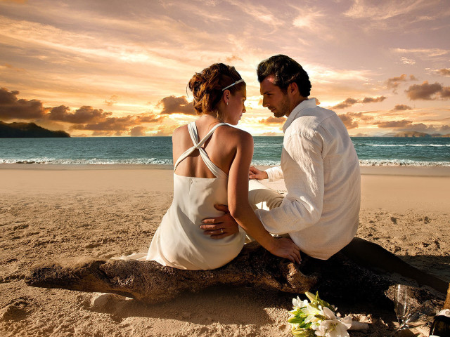 Man woman sitting log beach #3 free wallpaper - medium preview image