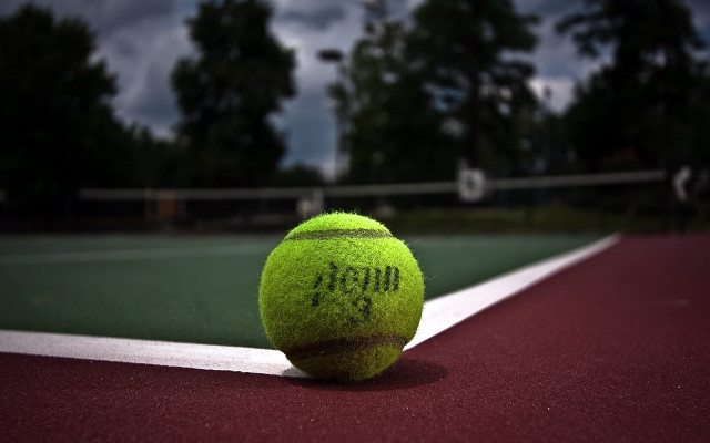 Tennis ball court net trees free wallpaper - medium preview image