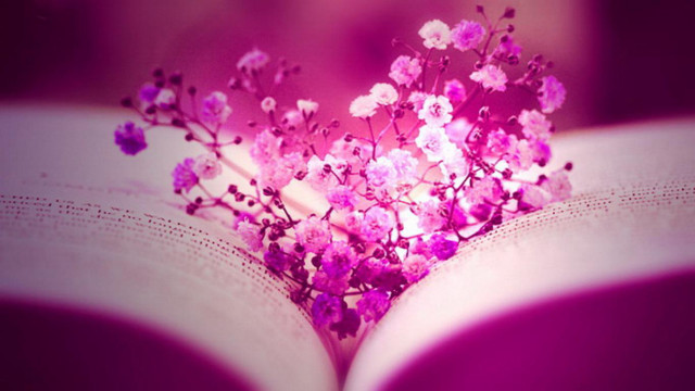 Book flowers cherryblossoms girl hanami #2 free wallpaper - medium preview image