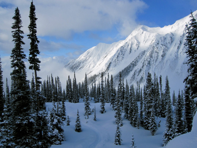 Snow covered mountain trees trail free wallpaper for desktop - medium preview image