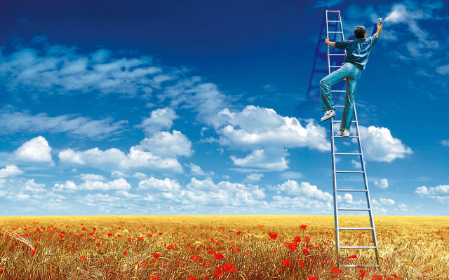 Man climbing ladder field flowers free wallpaper - medium preview image