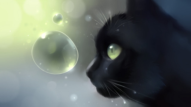Black cat green eyes bubbles free wallpaper - medium preview image