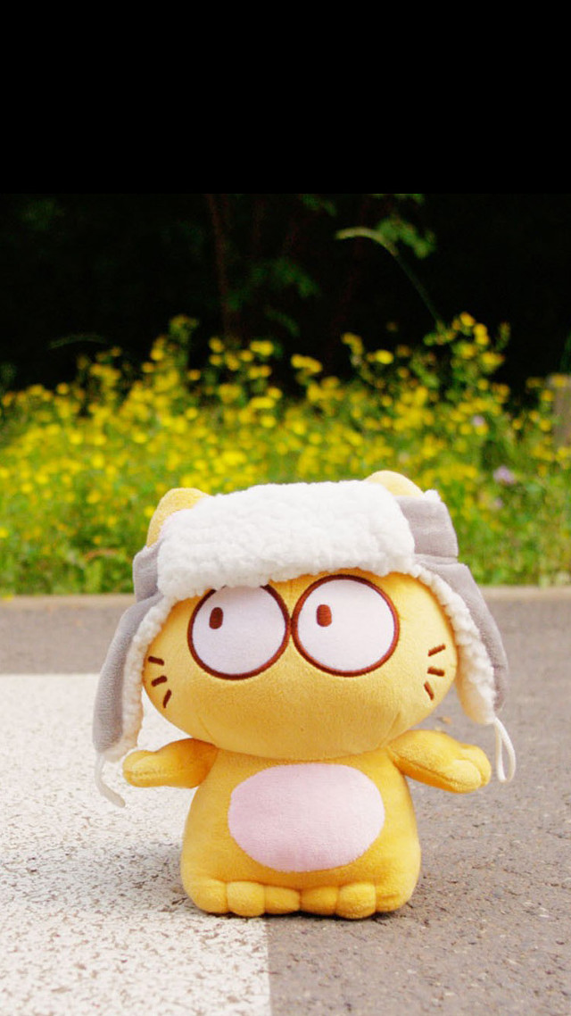 Yellow stuffed animal white hat free wallpaper - medium preview image