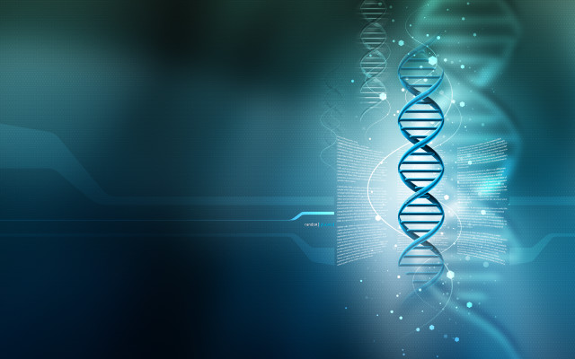 Blue background double strand blue free wallpaper - medium preview image