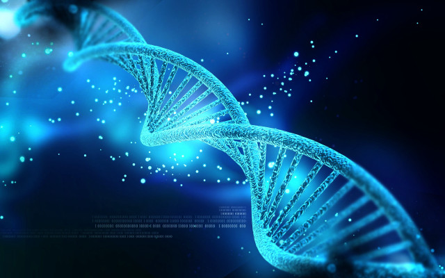 Blue background human cell double free wallpaper - medium preview image