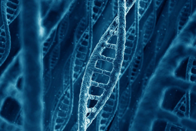 Blue plant cell structure closeup free wallpaper - medium preview image