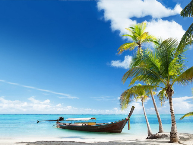 Boat beach palm trees blue #6 free wallpaper - medium preview image