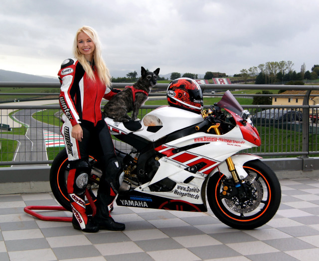 Woman motorcycle cat seat dog free wallpaper - medium preview image