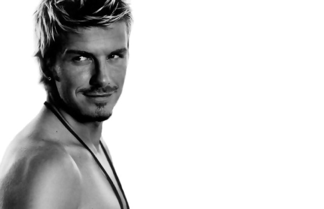 Man short haircut beard necklace free wallpaper - medium preview image