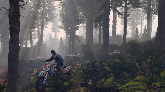 Forest dirtbike motorcycle foggy day free wallpaper - medium preview image