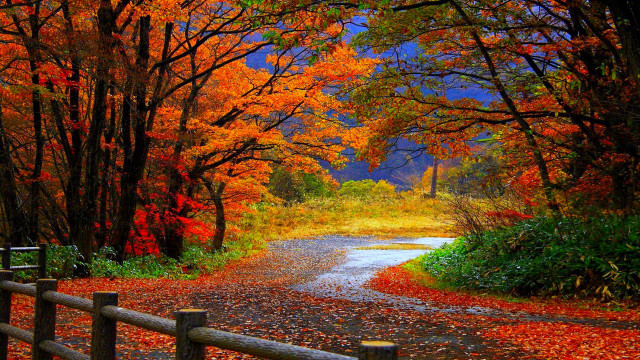 Road fall foliage fence impressionist #2 free wallpaper - medium preview image