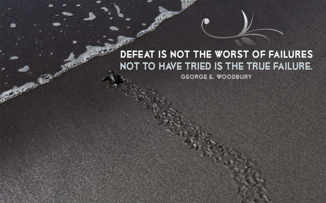 Quote beach wave footprints sand free wallpaper - medium preview image
