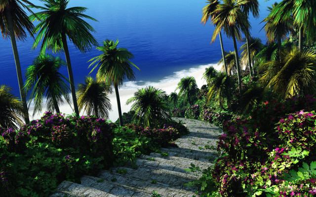 Steps beach palm trees flowers free wallpaper - medium preview image