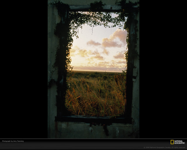 Window vines field grass clouds free wallpaper - medium preview image