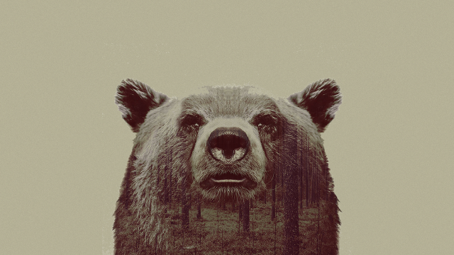 Bear tree sky clouds nature free wallpaper - medium preview image